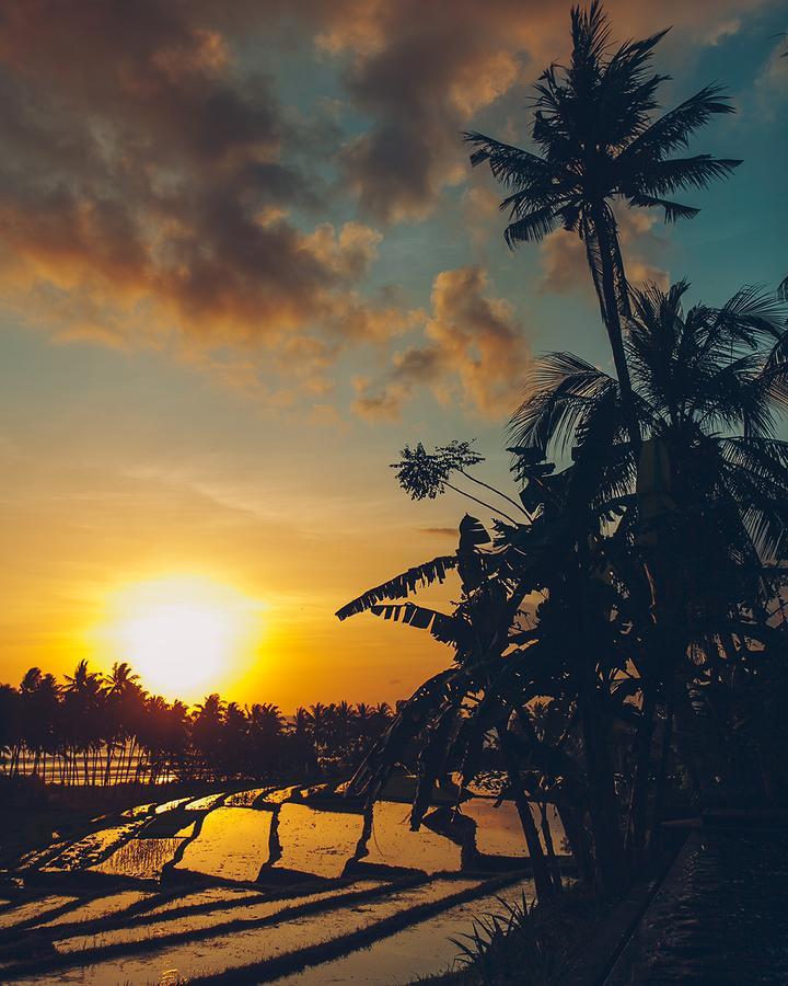 The Mayana Beach House Selemadeg  المظهر الخارجي الصورة